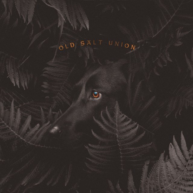 Album Review: Old Salt Union – ‘Where The Dogs Don’t Bite’