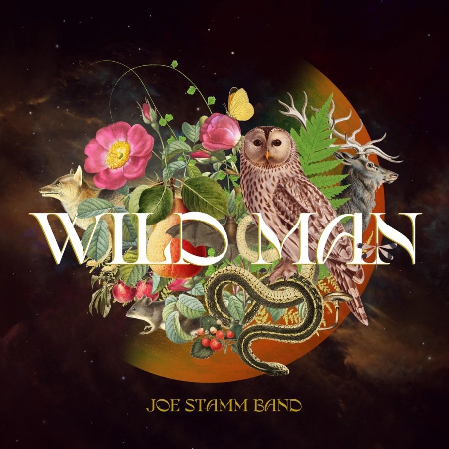Album Review: Joe Stamm Band – ‘Wild Man’